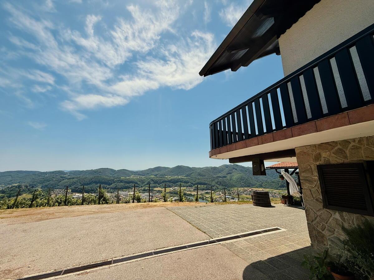 VINOGRADNIŠKA DOMAČIJA Z DUŠO IN ZGODBO – KJER NARAVA, VINO IN RAZGLED USTVARJAJO NEKAJ POSEBNEGA - Slika 4
