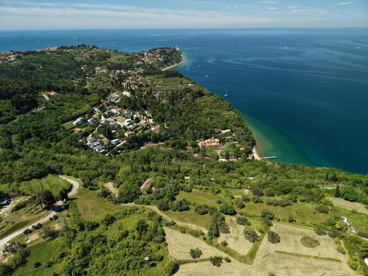 POSESTVO ZA TISTE, KI IMAJO VSE. RAZEN TEGA - Slika 9