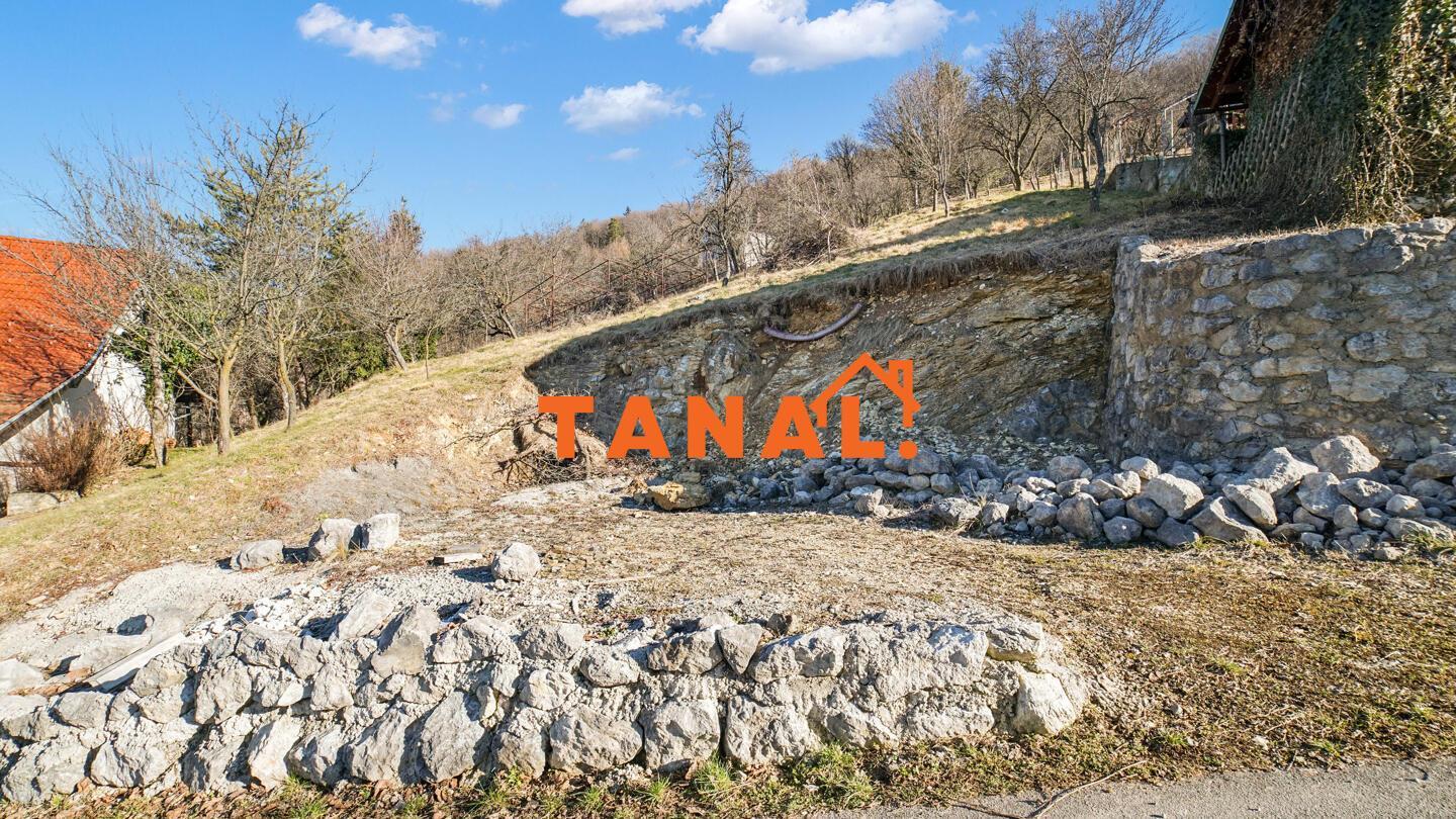 Samostojna hiša Andraž nad Polzelo - Slika 8