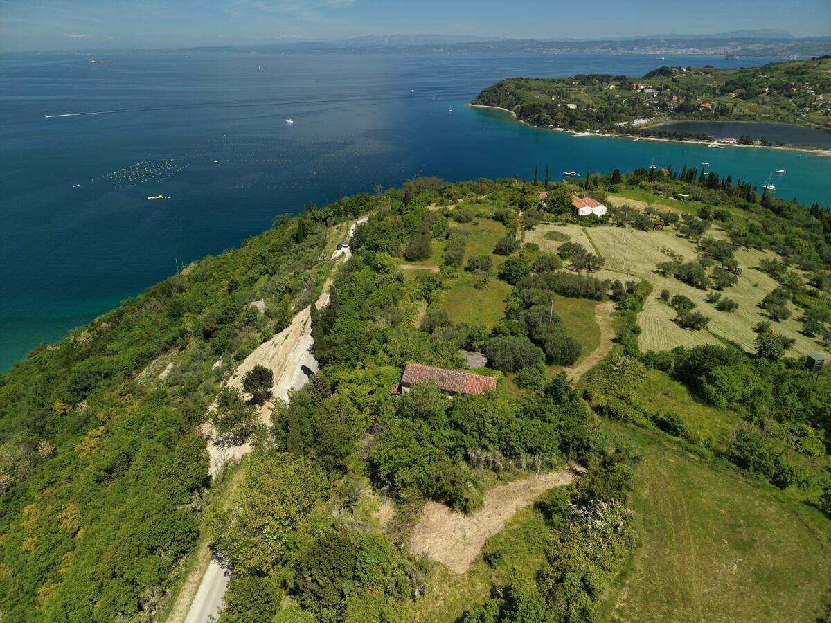POSESTVO ZA TISTE, KI IMAJO VSE. RAZEN TEGA - Slika 11