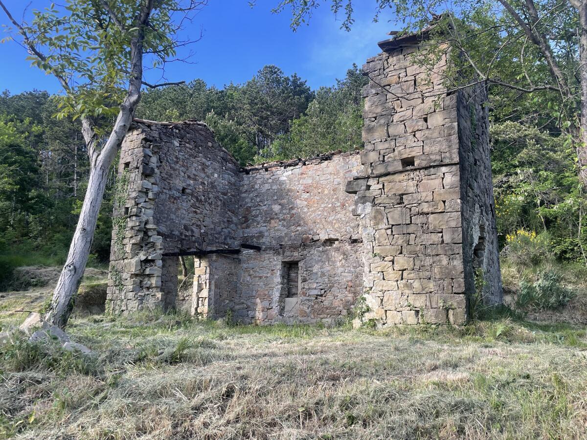 PRAVLJIČNA HIŠICA SREDI GOZDA - Slika 1