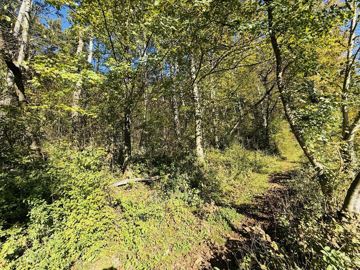 Zazidljiva Parcela, Preserje, Brezovica - Slika 3
