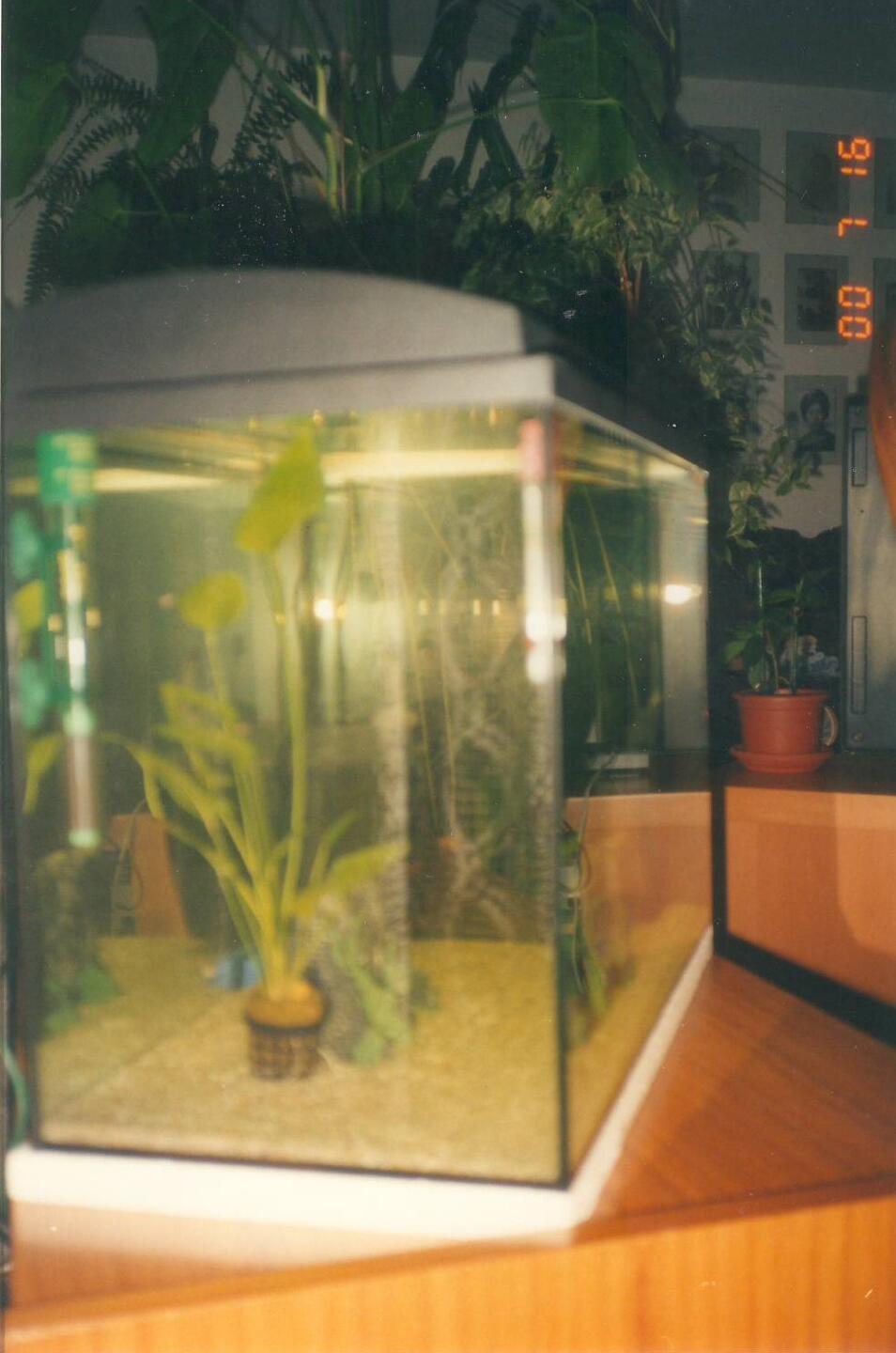 Stanovanjska hiša Vodice - Slika 8