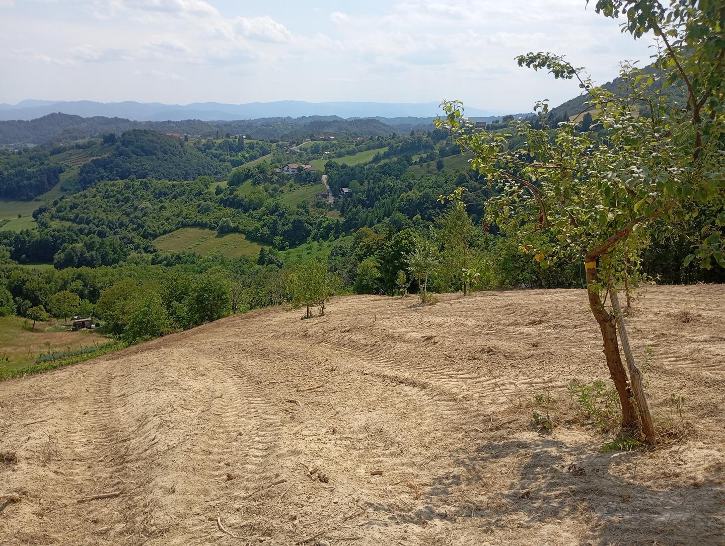 Bošt - Bizeljsko, zemljisće z GD - Slika 11