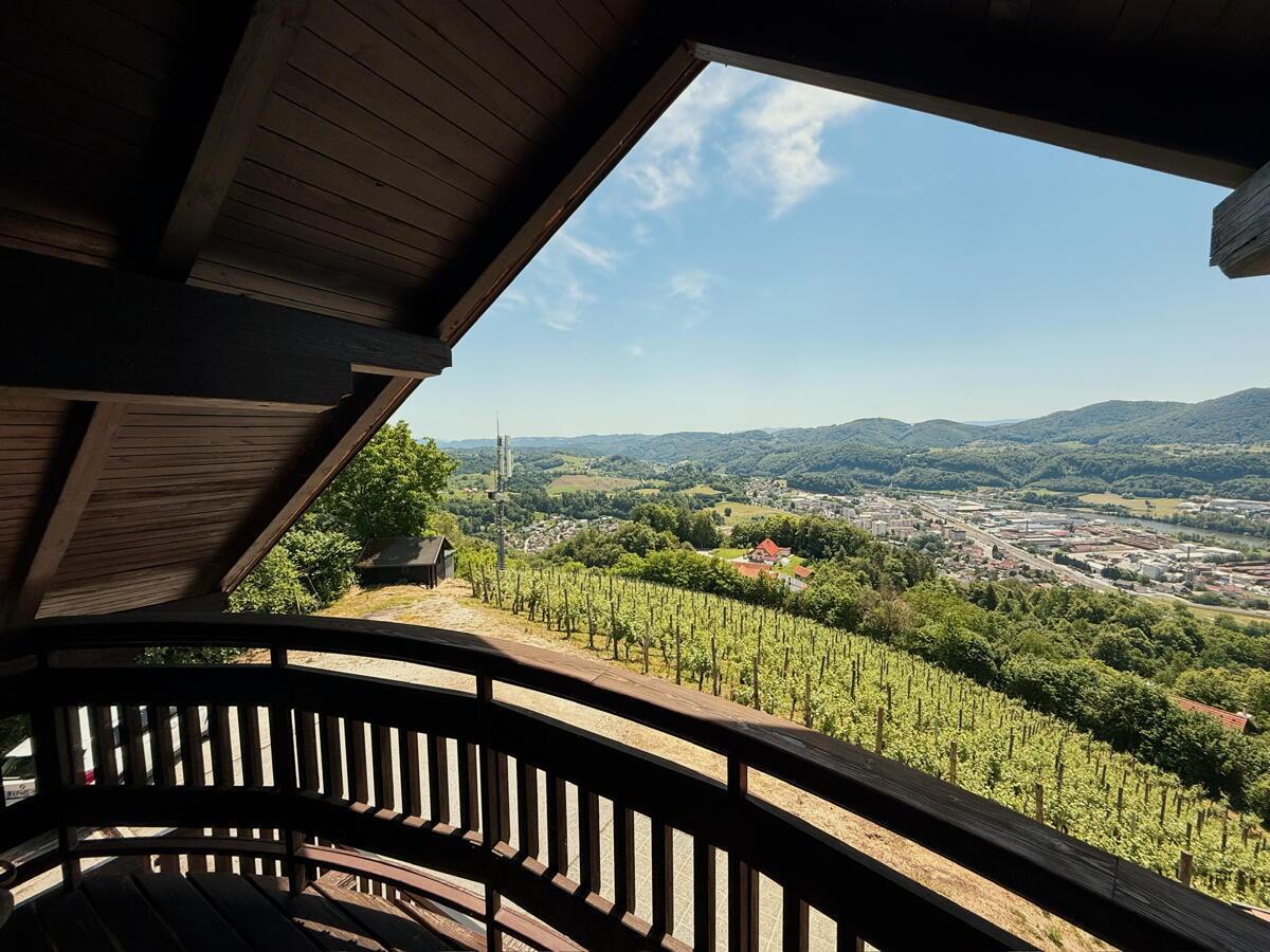 VINOGRADNIŠKA DOMAČIJA Z DUŠO IN ZGODBO – KJER NARAVA, VINO IN RAZGLED USTVARJAJO NEKAJ POSEBNEGA - Slika 32