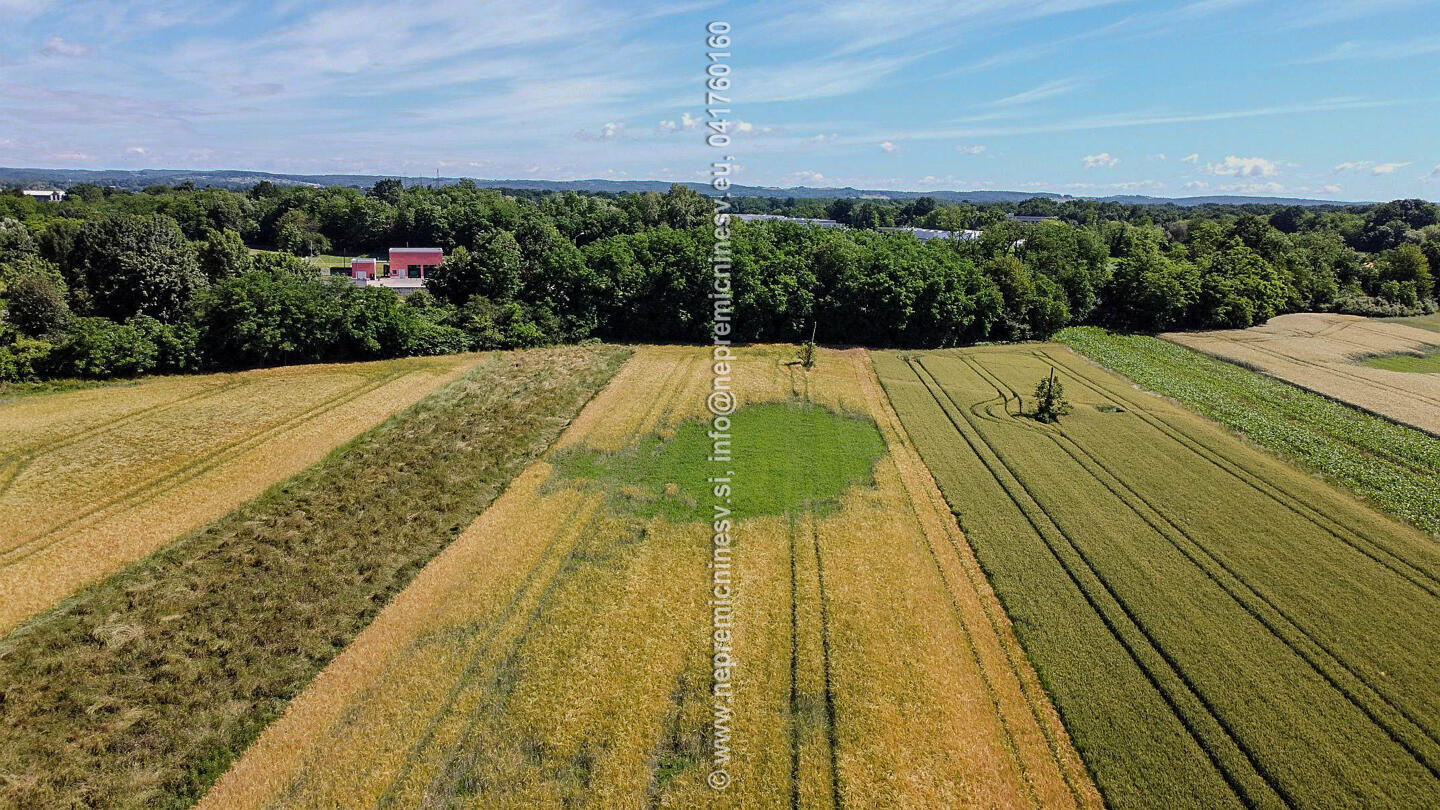 Investicijsko stavbno zemljišče Murska Sobota | Cona IG/IK ob obvoznici - Slika 10