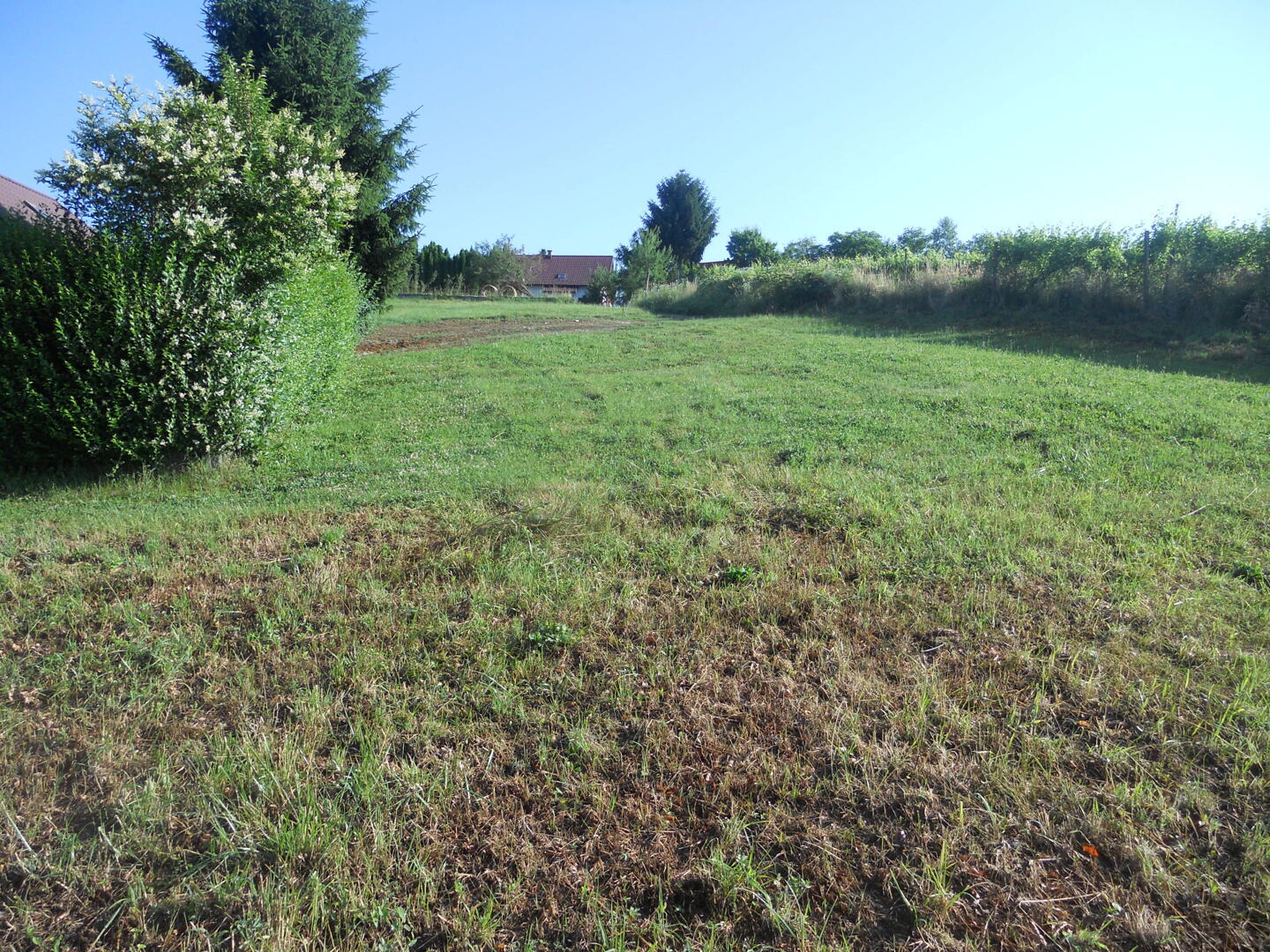 Prodam parcelo - Cena na povpraševanje - Slika 4
