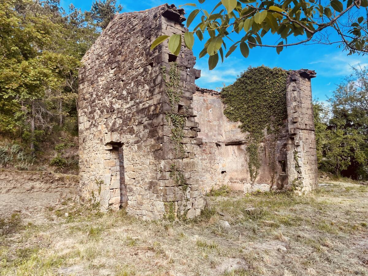 PRAVLJIČNA HIŠICA SREDI GOZDA - Slika 10