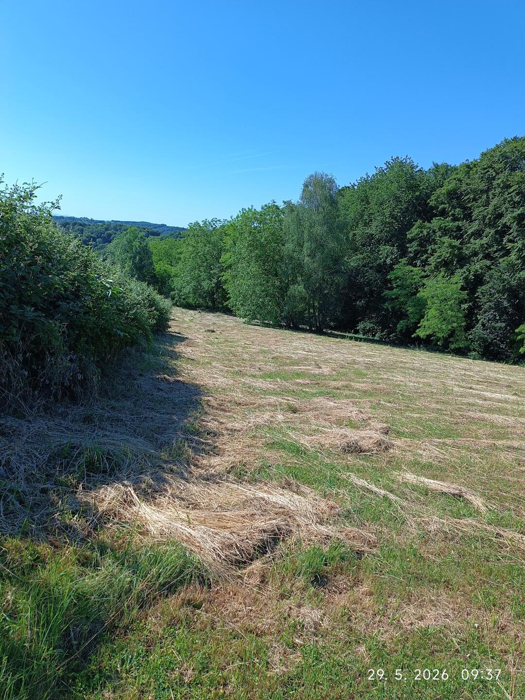 Prodam parcelo - Cena na povpraševanje - Slika 18