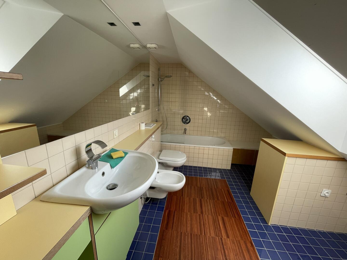 Svetla mansarda s 17 strešnimi okni, galerijo in parkirnim mestom - Slika 12