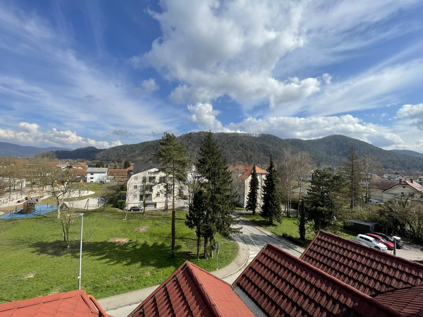 Svetla mansarda s 17 strešnimi okni, galerijo in parkirnim mestom - Slika 3