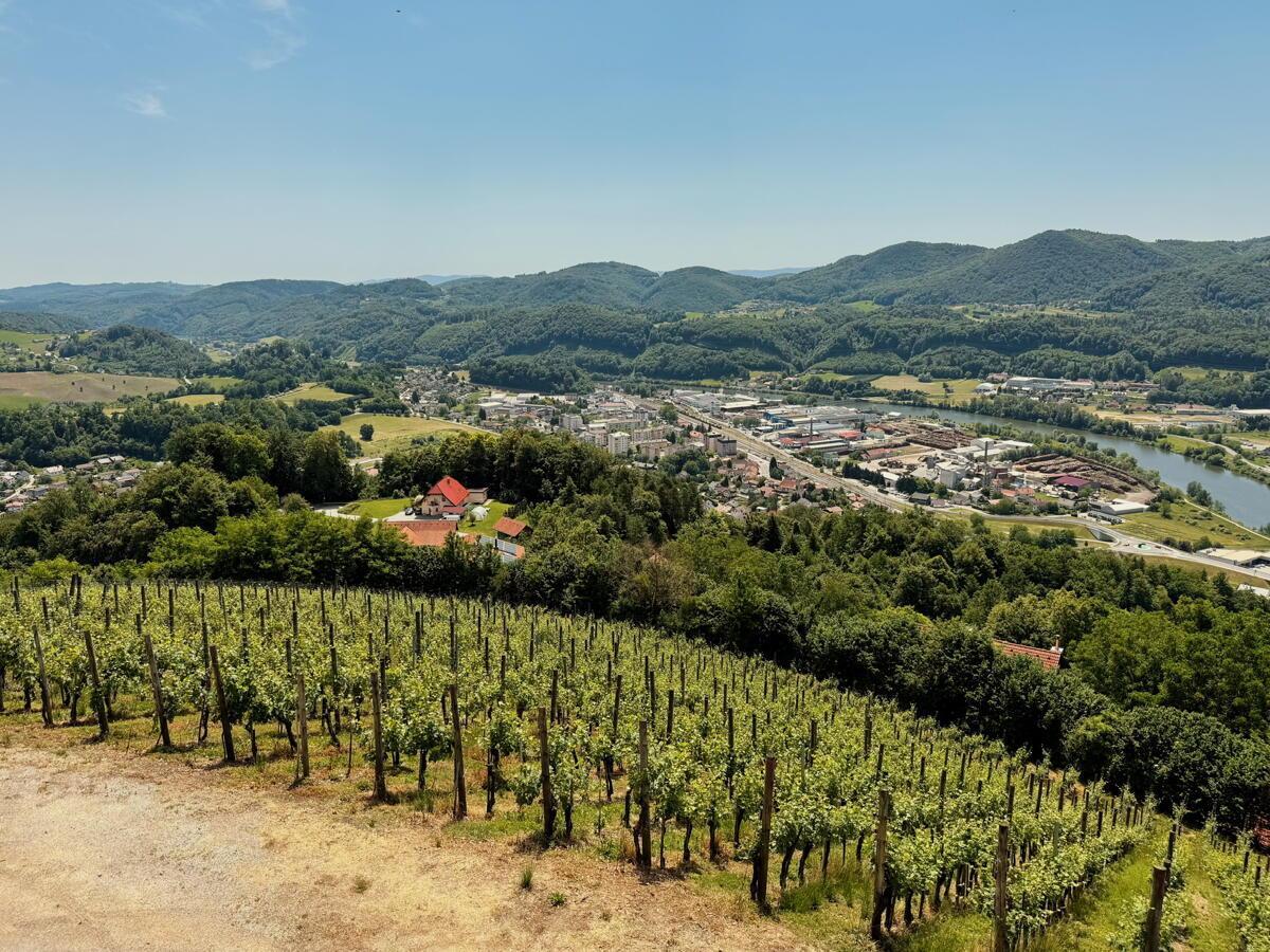 VINOGRADNIŠKA DOMAČIJA Z DUŠO IN ZGODBO – KJER NARAVA, VINO IN RAZGLED USTVARJAJO NEKAJ POSEBNEGA - Slika 1