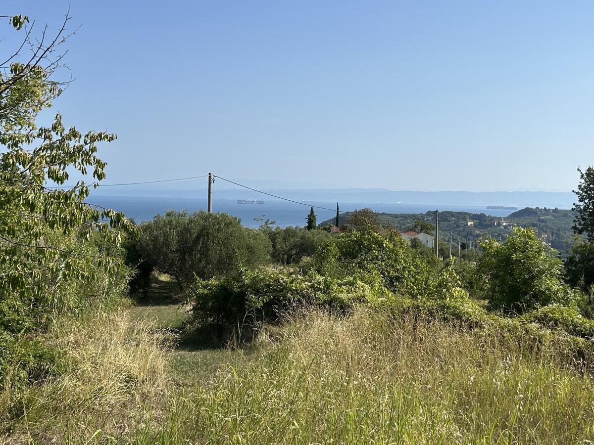 POSESTVO ZA TISTE, KI IMAJO VSE. RAZEN TEGA - Slika 19