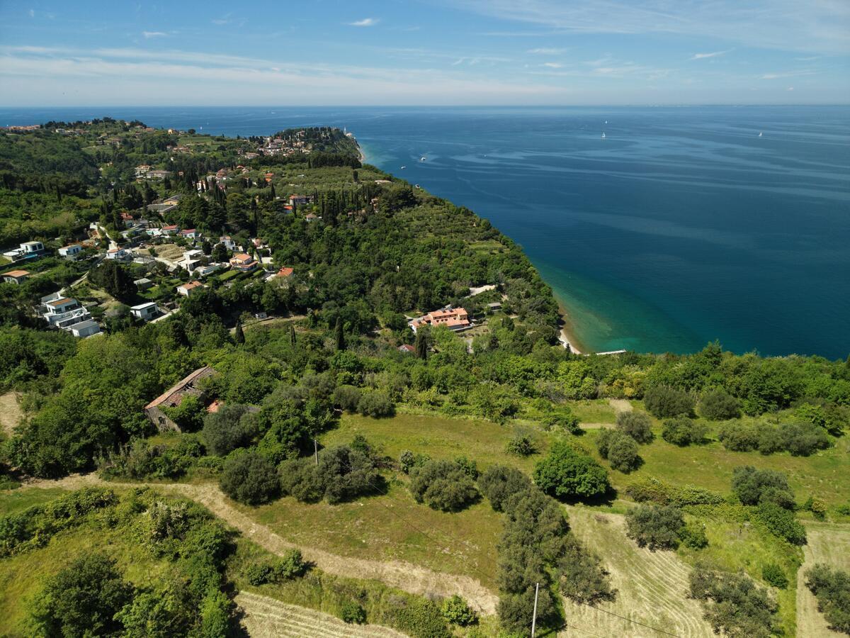 POSESTVO ZA TISTE, KI IMAJO VSE. RAZEN TEGA - Slika 10