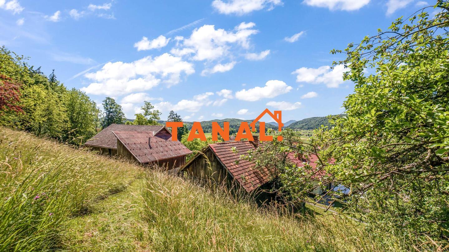 Samostojna hiša z večjim zemljiščem - Slika 6
