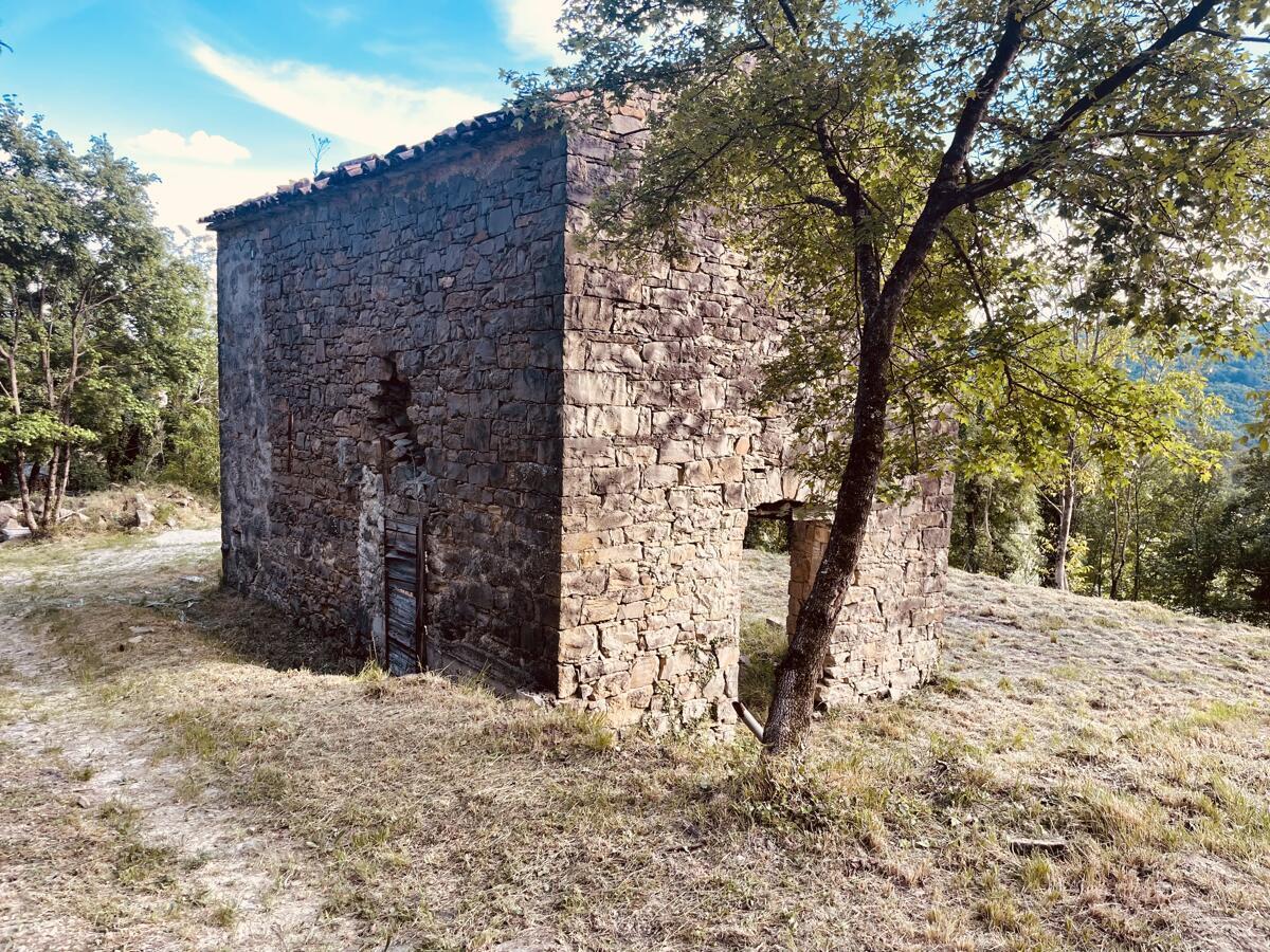 PRAVLJIČNA HIŠICA SREDI GOZDA - Slika 16