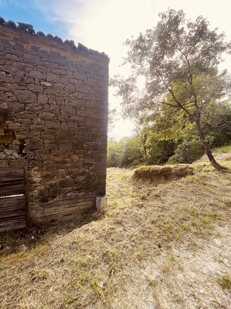 PRAVLJIČNA HIŠICA SREDI GOZDA - Slika 20