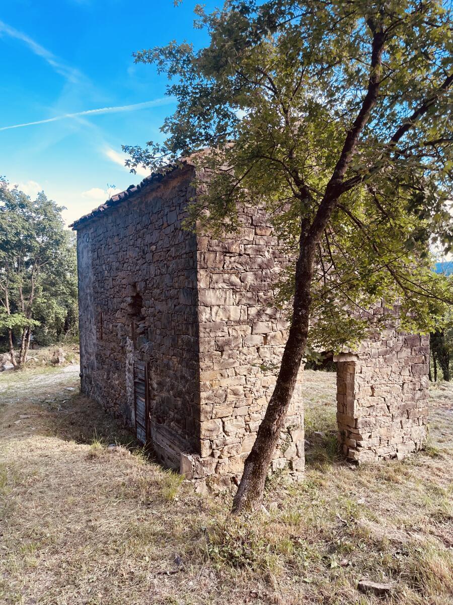 PRAVLJIČNA HIŠICA SREDI GOZDA - Slika 17