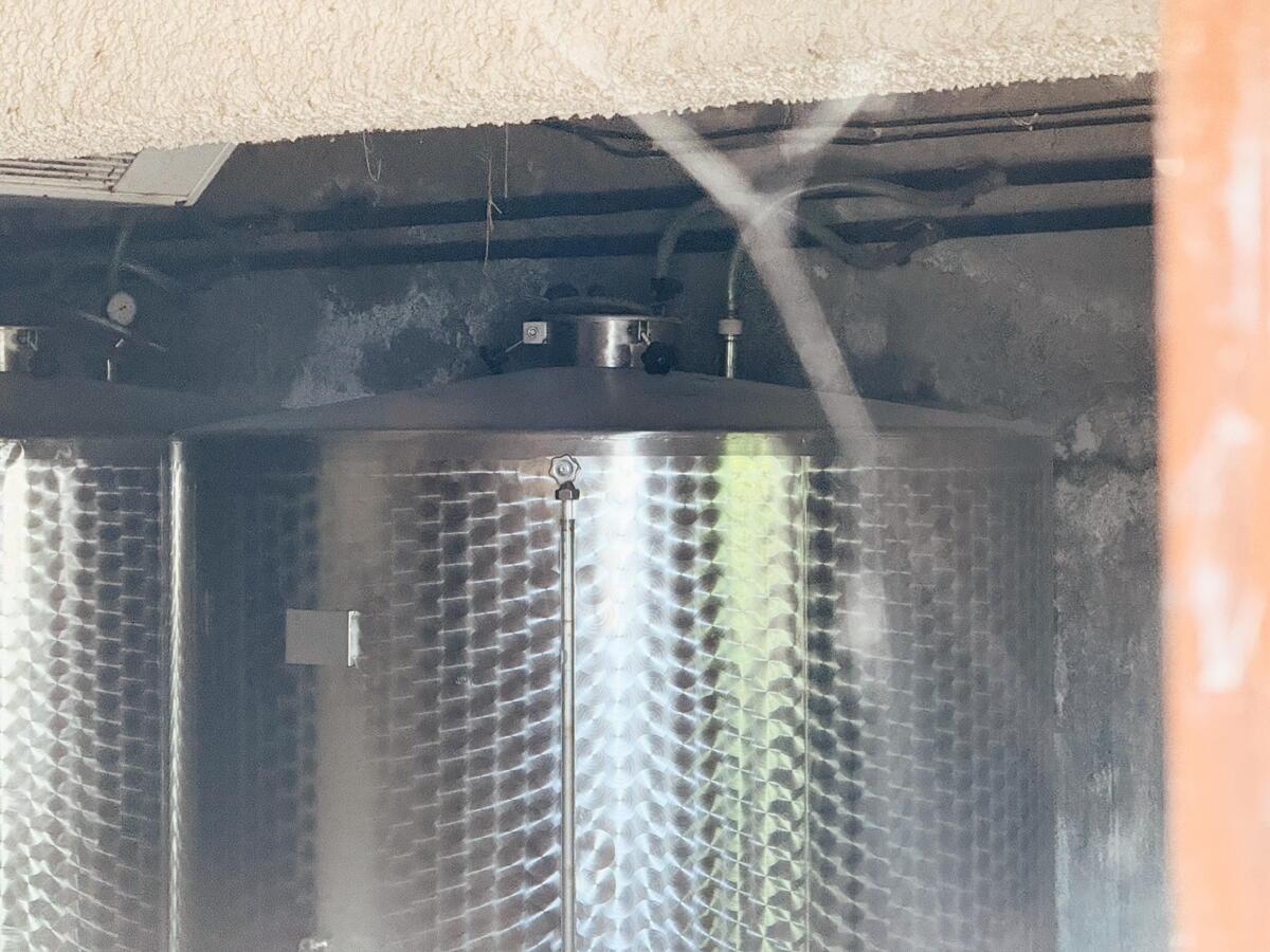 VINOGRADNIŠKA DOMAČIJA Z DUŠO IN ZGODBO – KJER NARAVA, VINO IN RAZGLED USTVARJAJO NEKAJ POSEBNEGA - Slika 10