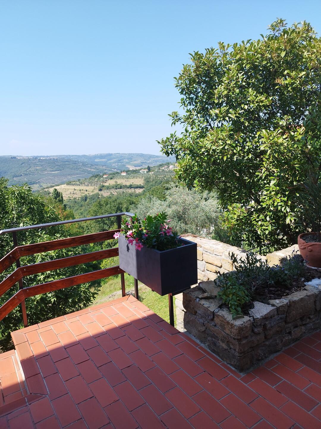 Hiša v Sv. Petru pri Sečovljah - Slika 7