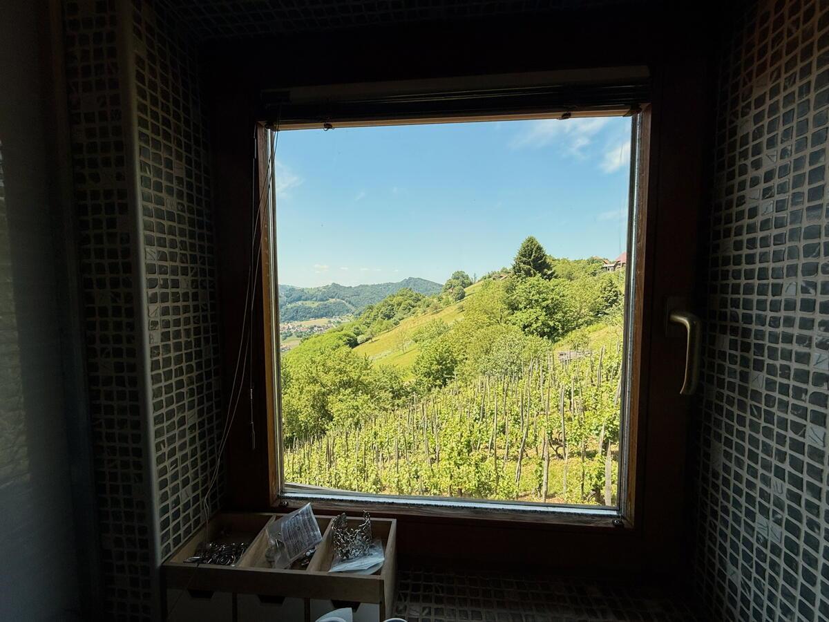 VINOGRADNIŠKA DOMAČIJA Z DUŠO IN ZGODBO – KJER NARAVA, VINO IN RAZGLED USTVARJAJO NEKAJ POSEBNEGA - Slika 27