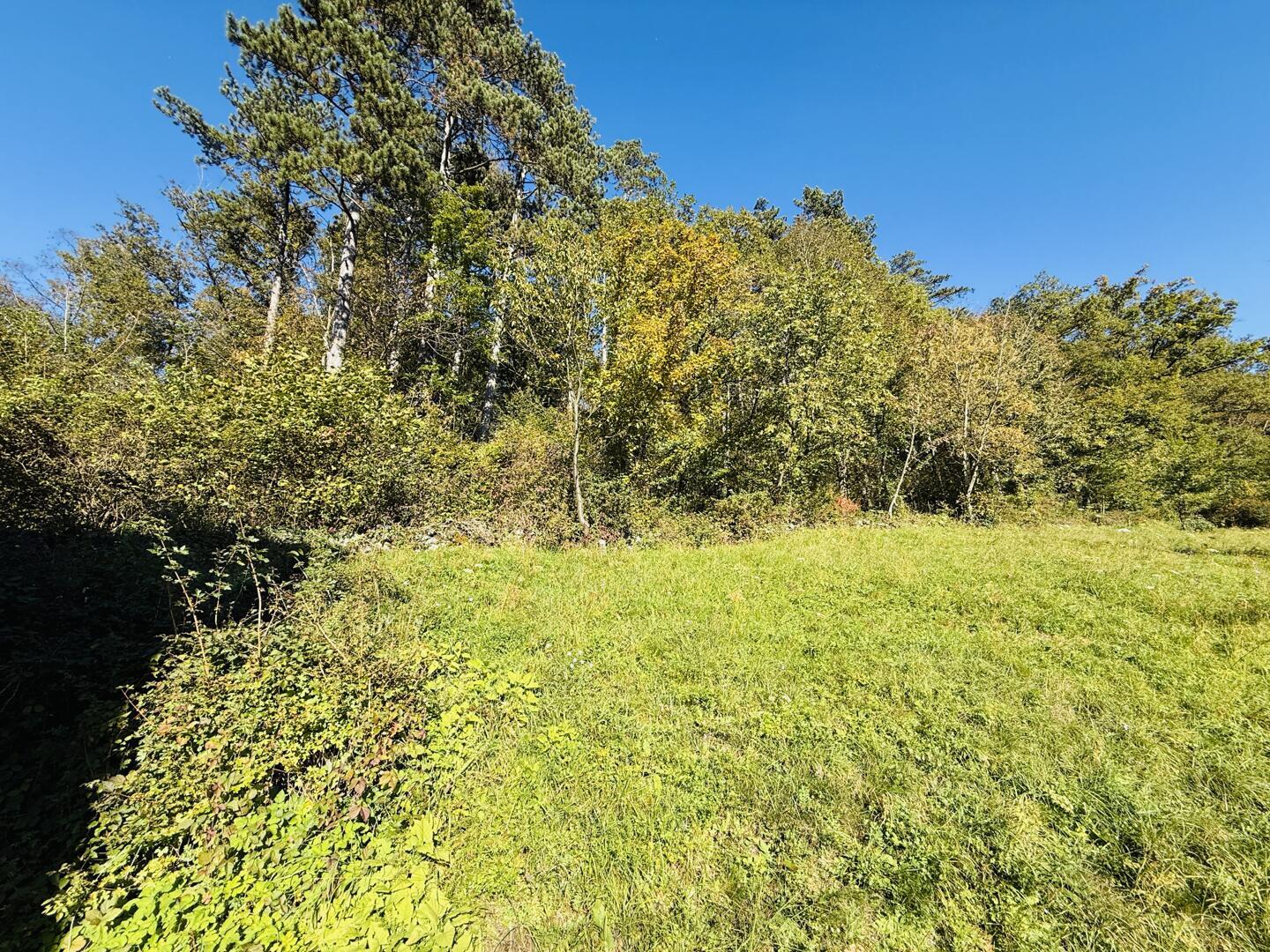 Zazidljiva Parcela, Preserje, Brezovica - Slika 2