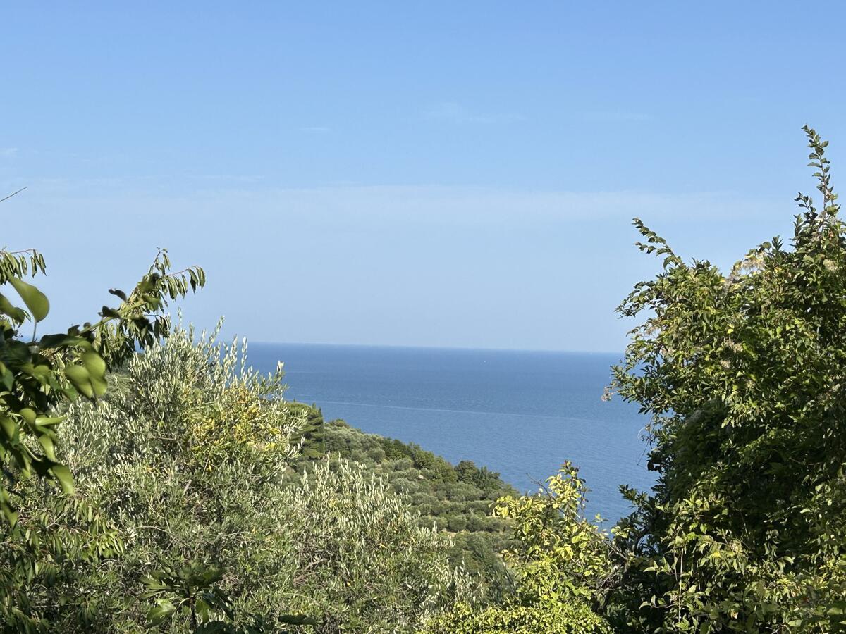 POSESTVO ZA TISTE, KI IMAJO VSE. RAZEN TEGA - Slika 18