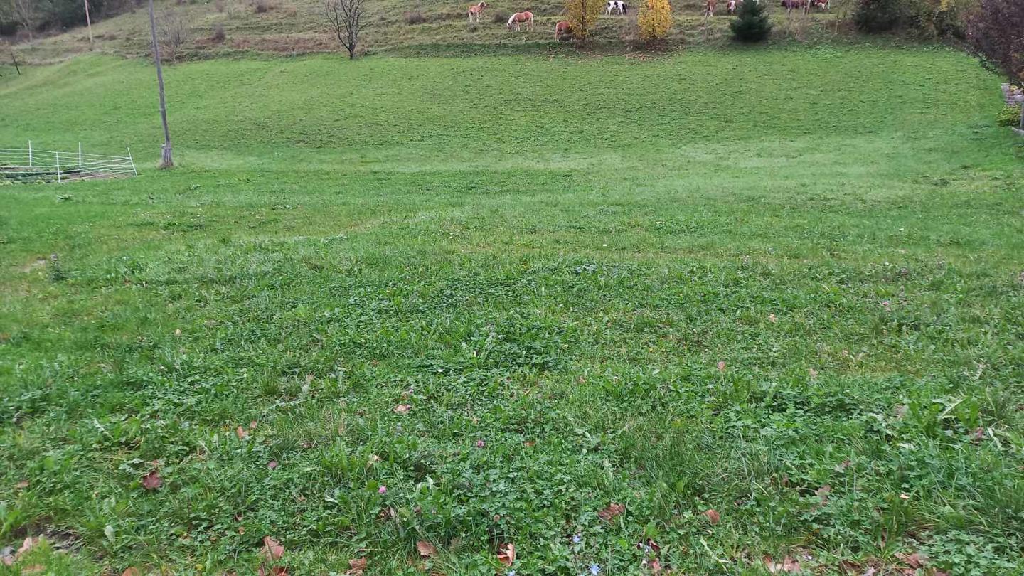 Dve zazidljivi parceli Krivčevo - Slika 14