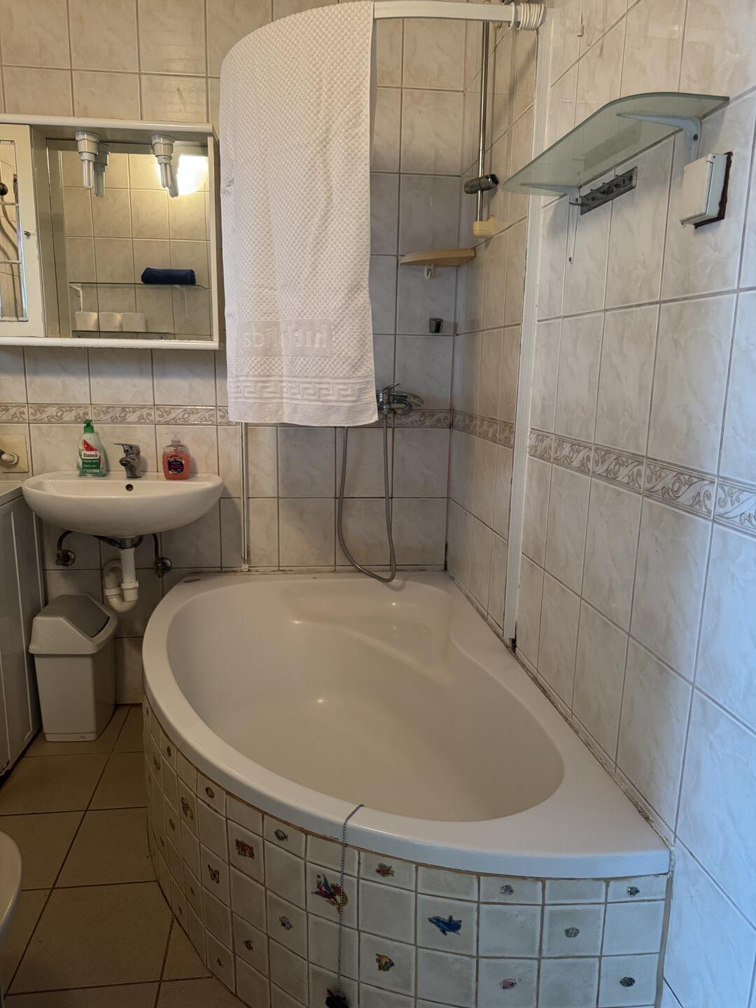 PRODAJA HIŠE - Slika 5