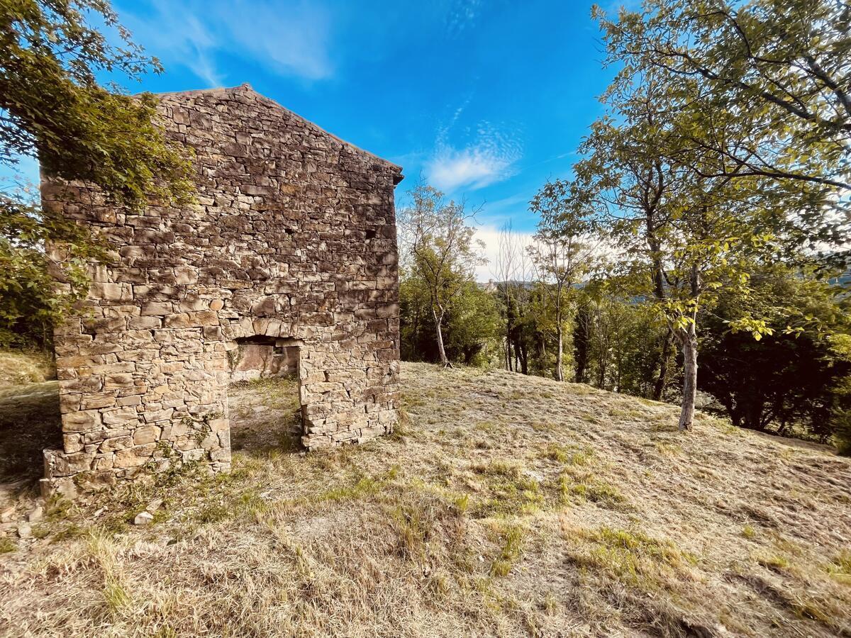 PRAVLJIČNA HIŠICA SREDI GOZDA - Slika 14